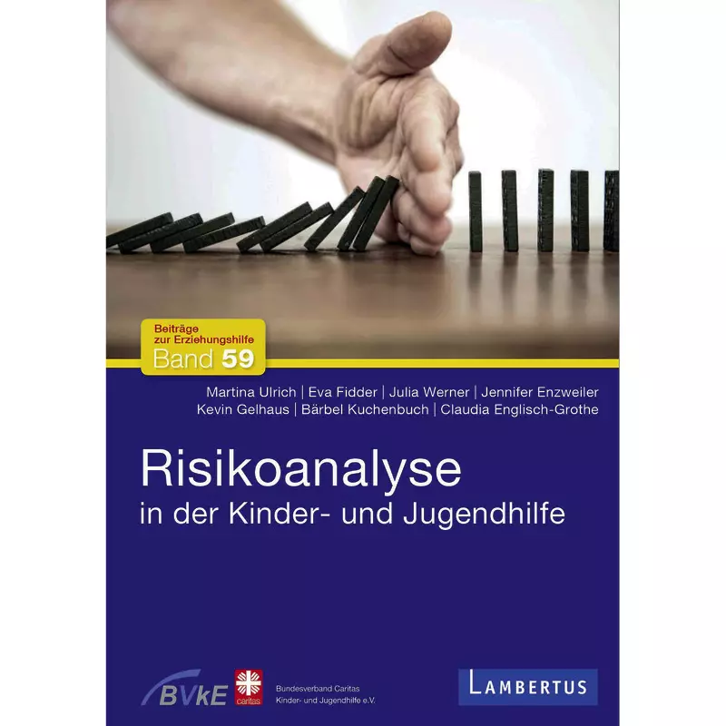 Risikoanalyse in der Kinder- und Jugendhilfe