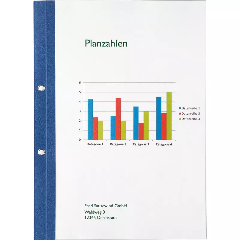 Ösen-Bindemappen mit transparentem Vorderdeckel, Lederstruktur, Rückenstärke 4 mm