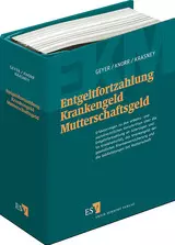 Entgeltfortzahlung - Krankengeld - Mutterschaftsgeld - mit Fortsetzungsbezug