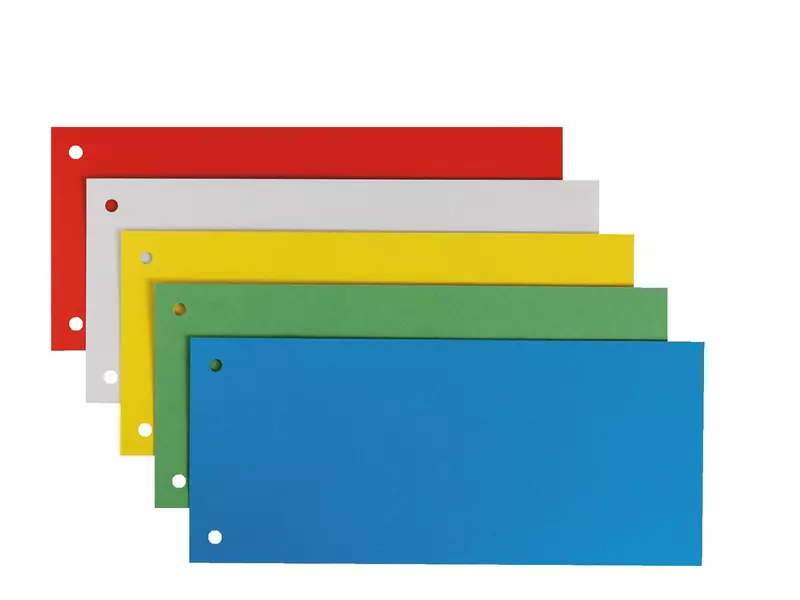 LEITZ Trennstreifen 1679, Karton, farbsortiert, Packung: 25 Stück