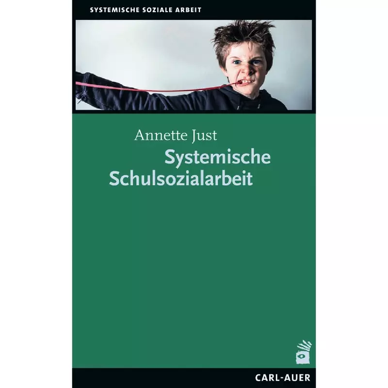 Systemische Schulsozialarbeit