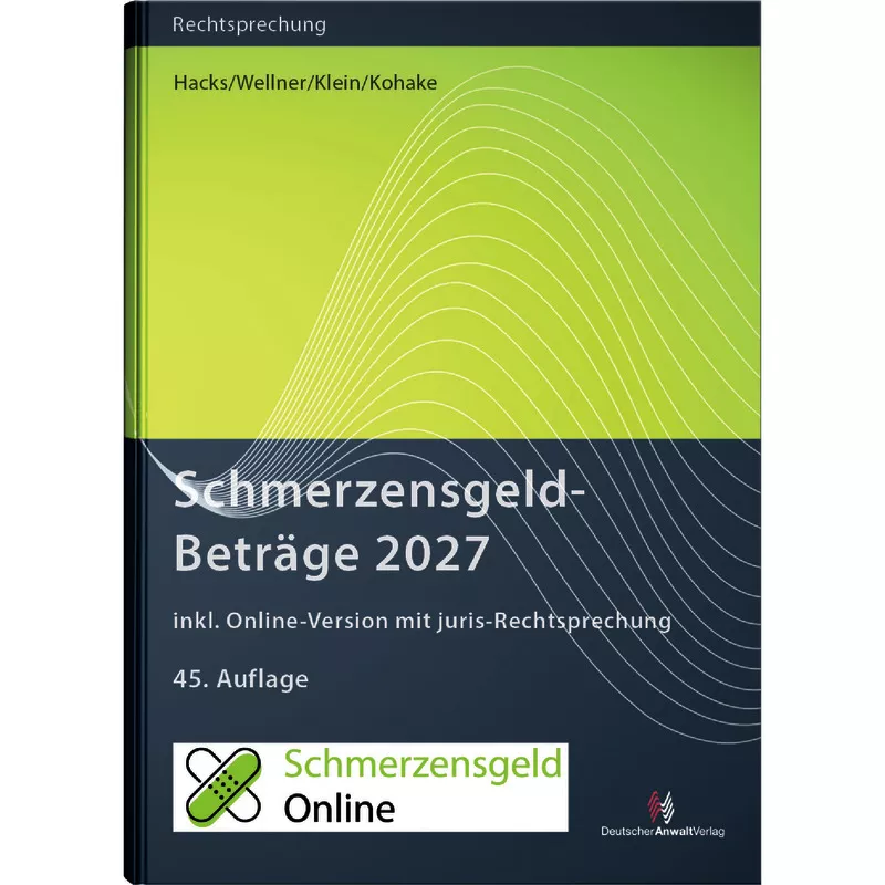 SchmerzensgeldBeträge 2027