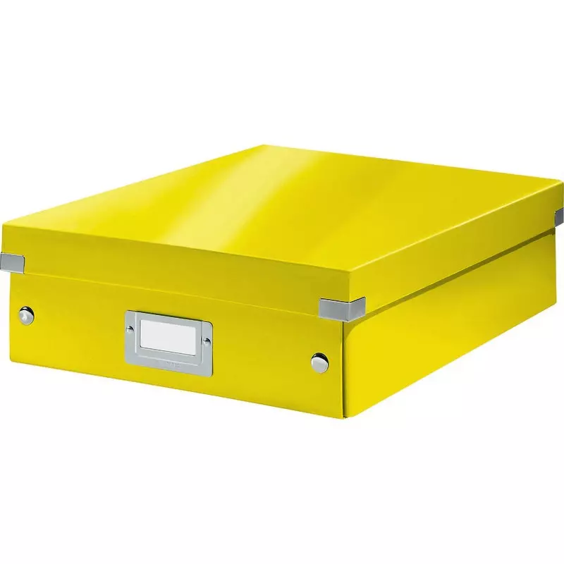 LEITZ Click & Store Organisationsbox Mittel