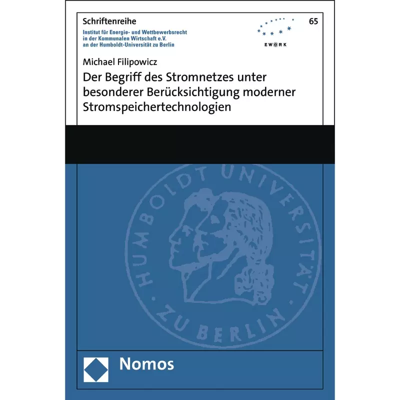 Der Begriff des Stromnetzes unter besonderer Berücksichtigung moderner Stromspeichertechnologien