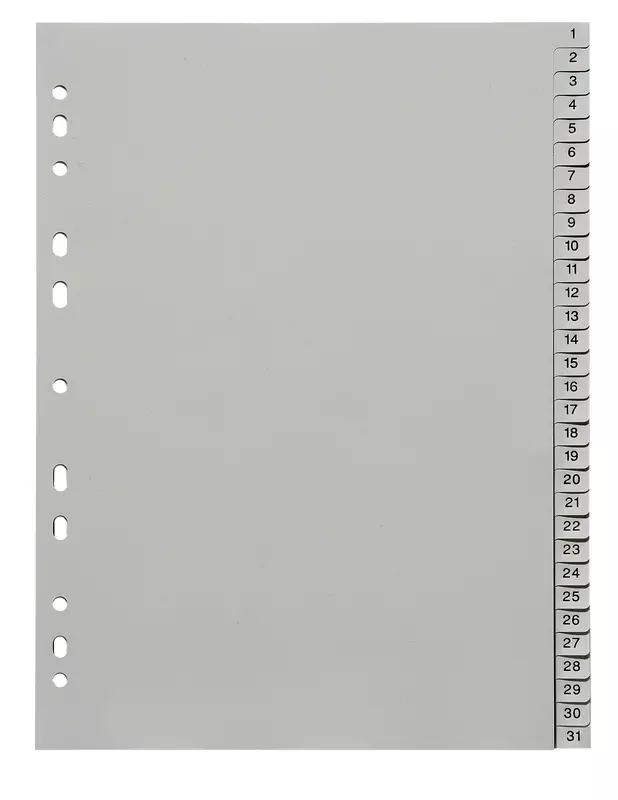SoldanPlus Kunststoff-Register, Taben 1 – 31