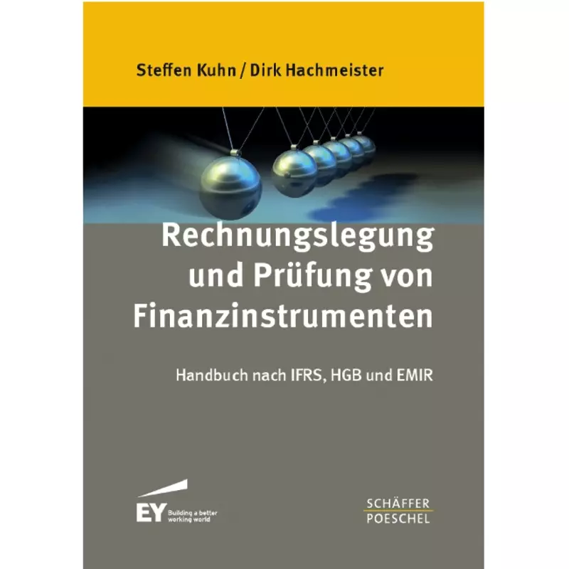Rechnungslegung und Prüfung von Finanzinstrumenten