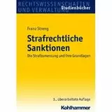 Strafrechtliche Sanktionen