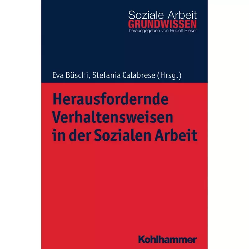 Herausfordernde Verhaltensweisen in der Sozialen Arbeit